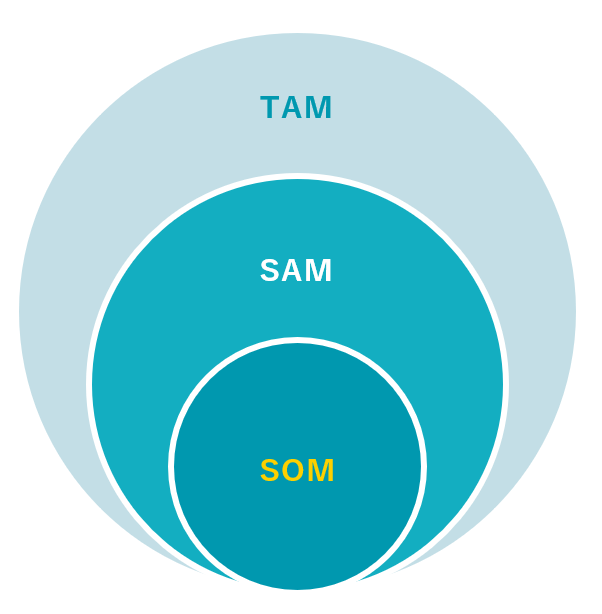 TAM SAM SOM 是什麽